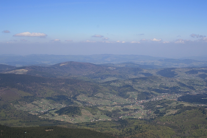 Original image